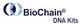 Biochain DNA Kit